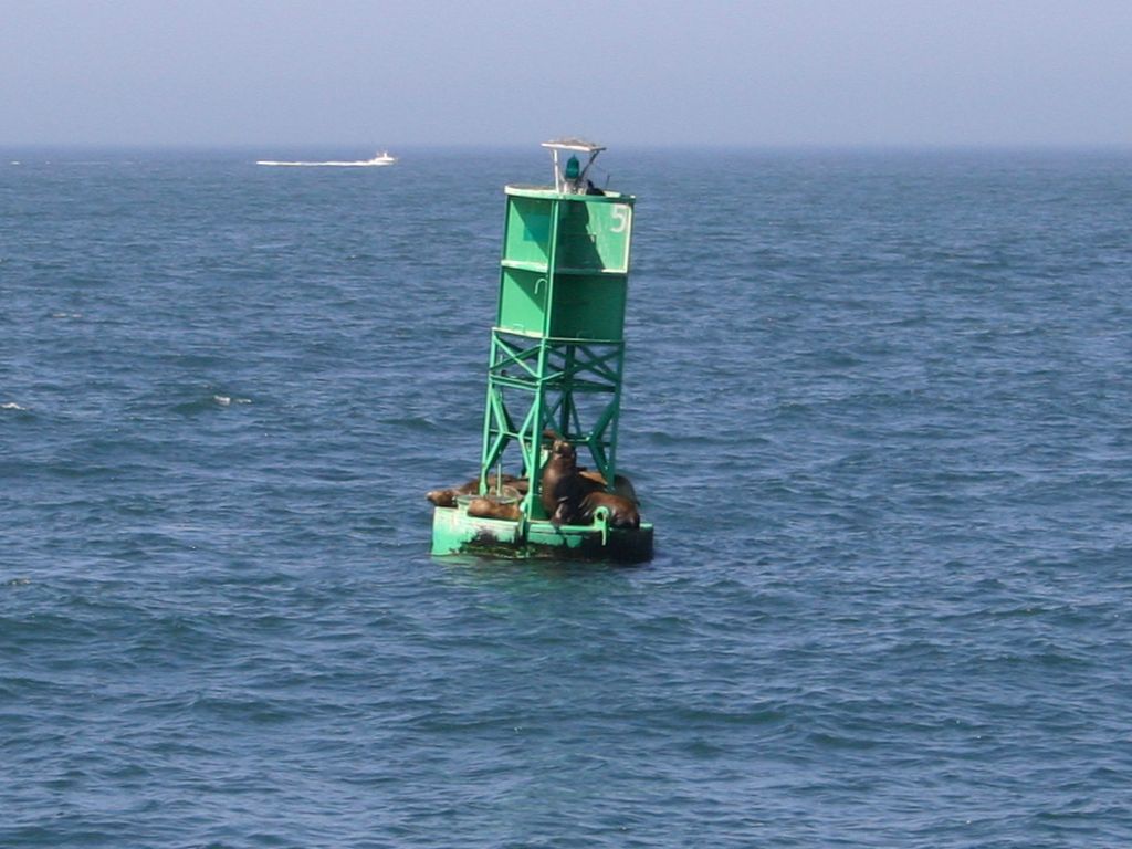 http://capnbob.us/blog/wp-content/uploads/2007/09/buoy-seals.jpg