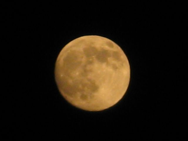  the almost full moon last night was tinted distinctively yellow.
