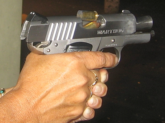 Warthog Pistol