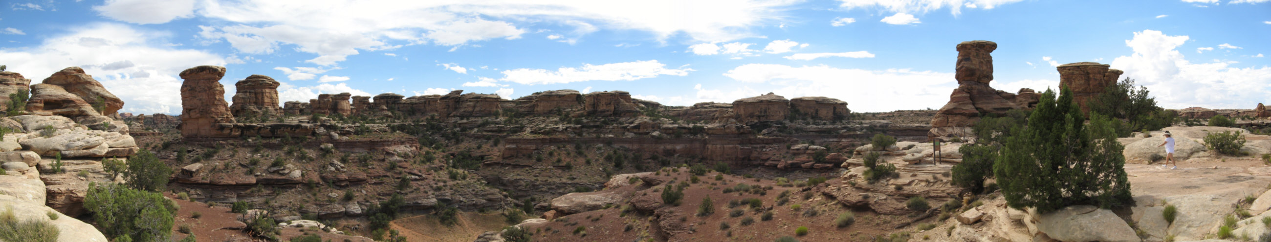 http://capnbob.us/blog/wp-content/uploads/2008/10/canyonlands-south.jpg