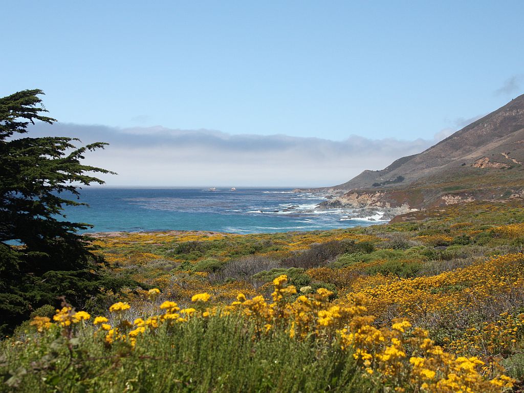 http://capnbob.us/blog/wp-content/uploads/2009/07/big-sur-coast.jpg