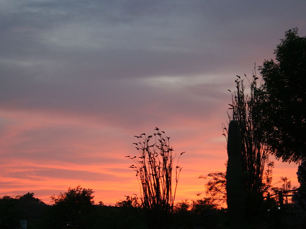 http://capnbob.us/blog/wp-content/uploads/2009/09/arizona-sunset.jpg