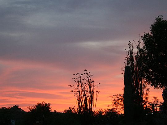 arizona-sunset.jpg