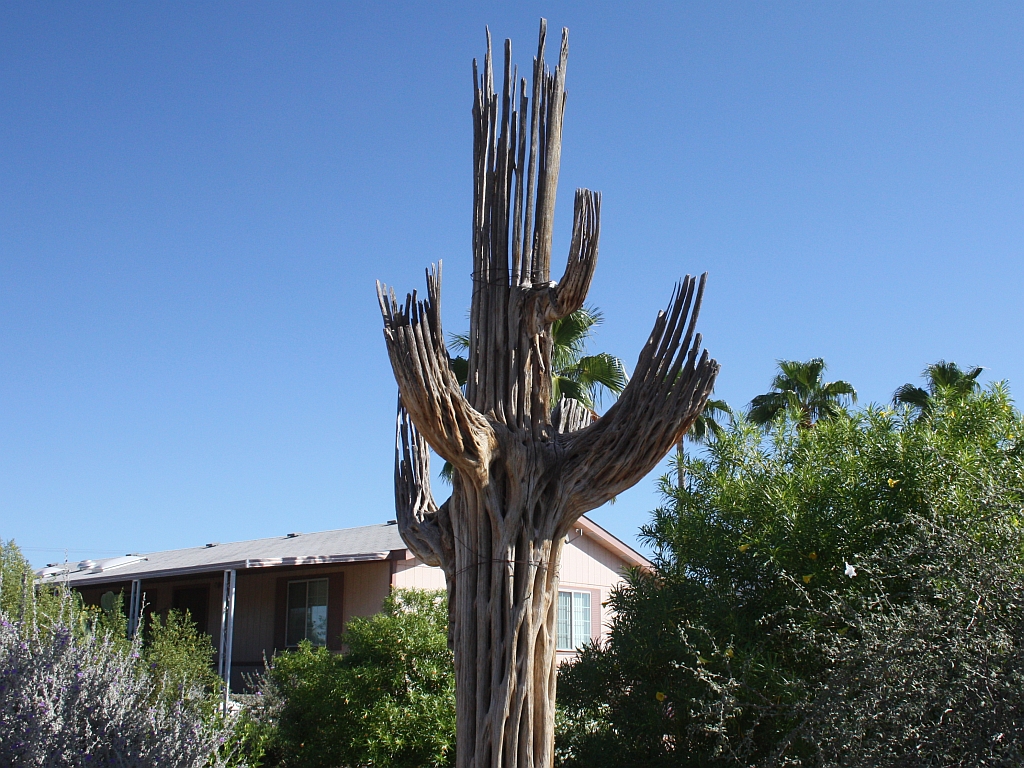 http://capnbob.us/blog/wp-content/uploads/2009/10/saguaro-ghost.jpg