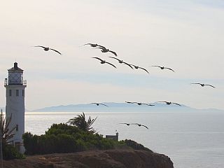 pelican-point.jpg