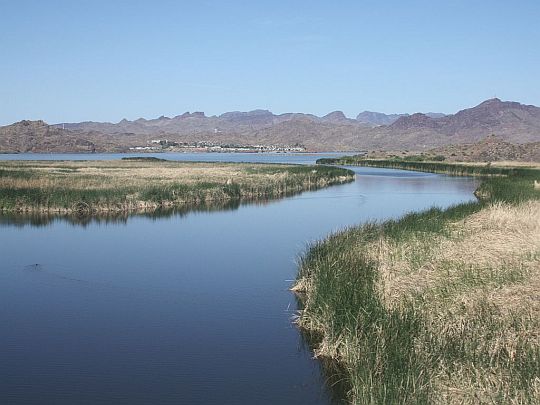 havasu.jpg