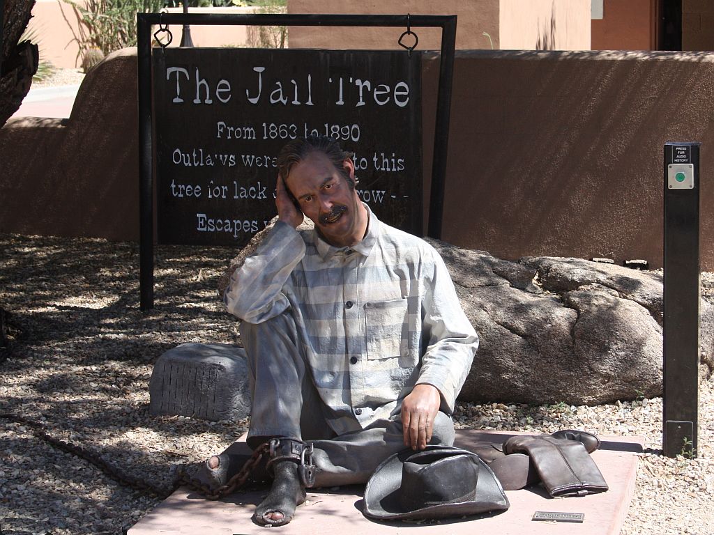 jail-tree.jpg