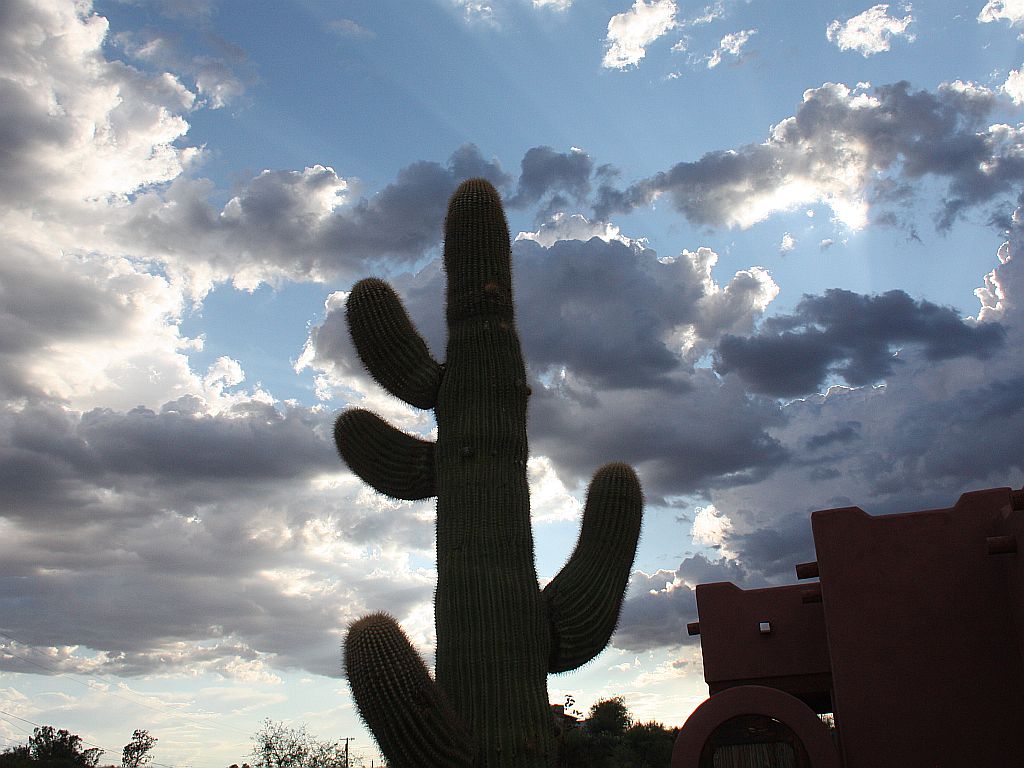 http://capnbob.us/blog/wp-content/uploads/2011/07/saguaro-clouds.jpg
