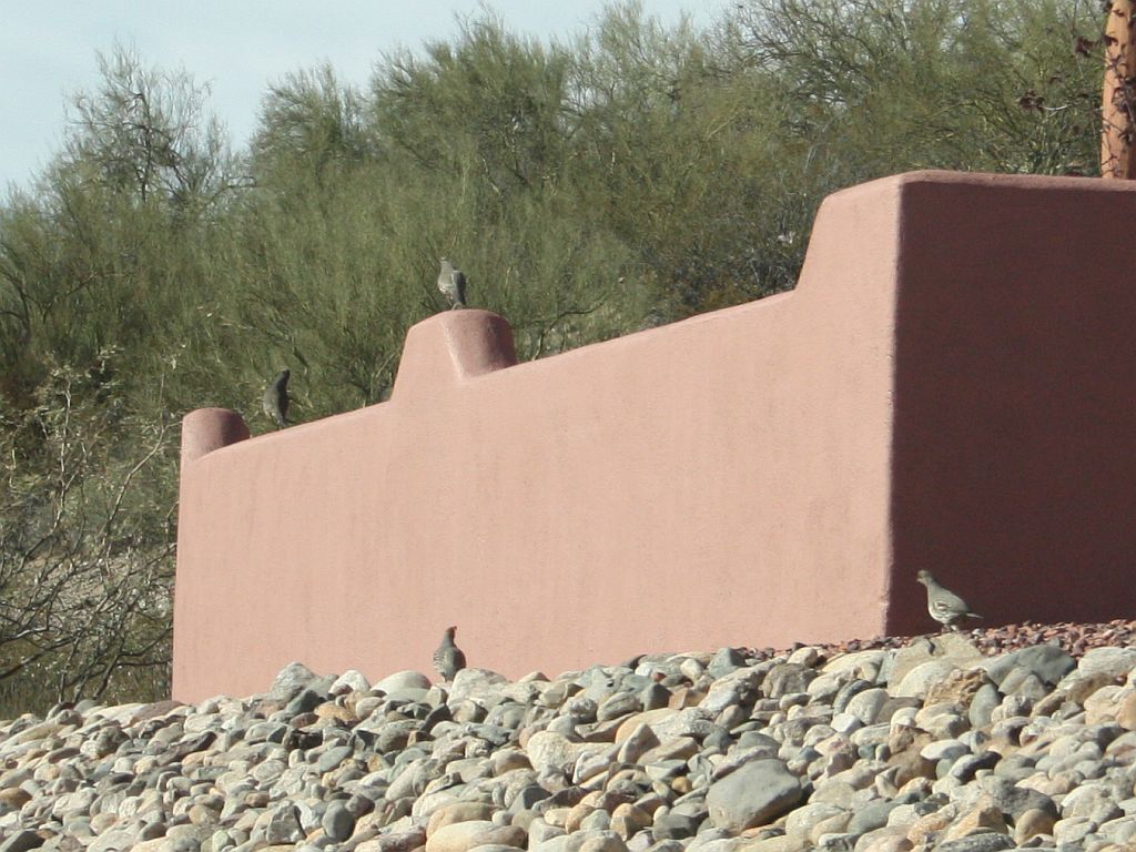 quailing-wall.jpg