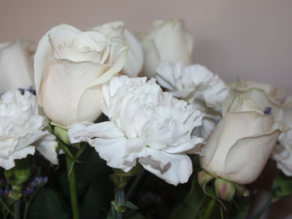 roses-carnations.jpg