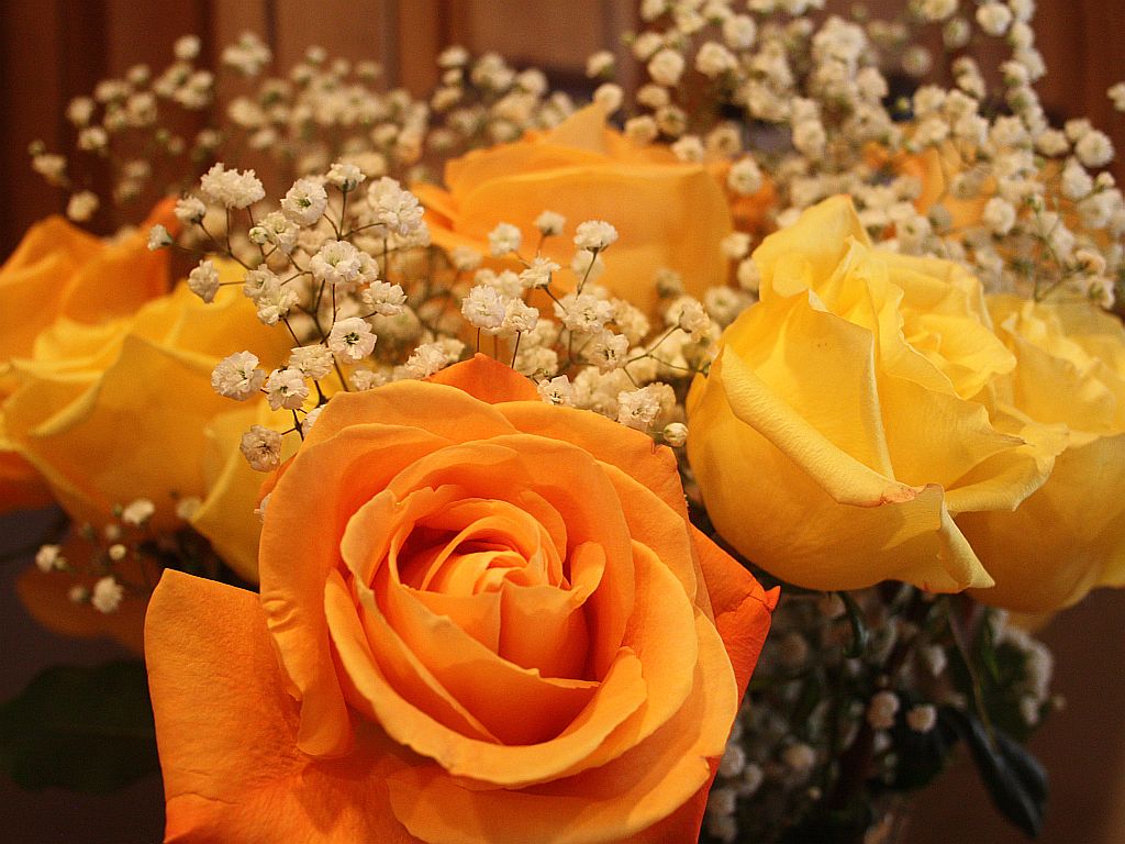 http://capnbob.us/blog/wp-content/uploads/2012/06/voodoo-roses.jpg