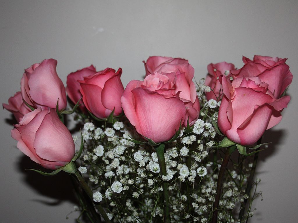 http://capnbob.us/blog/wp-content/uploads/2013/03/gelato-roses.jpg