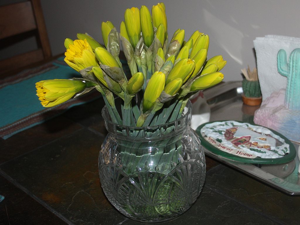 http://capnbob.us/blog/wp-content/uploads/2013/03/mmore-daffodils.jpg