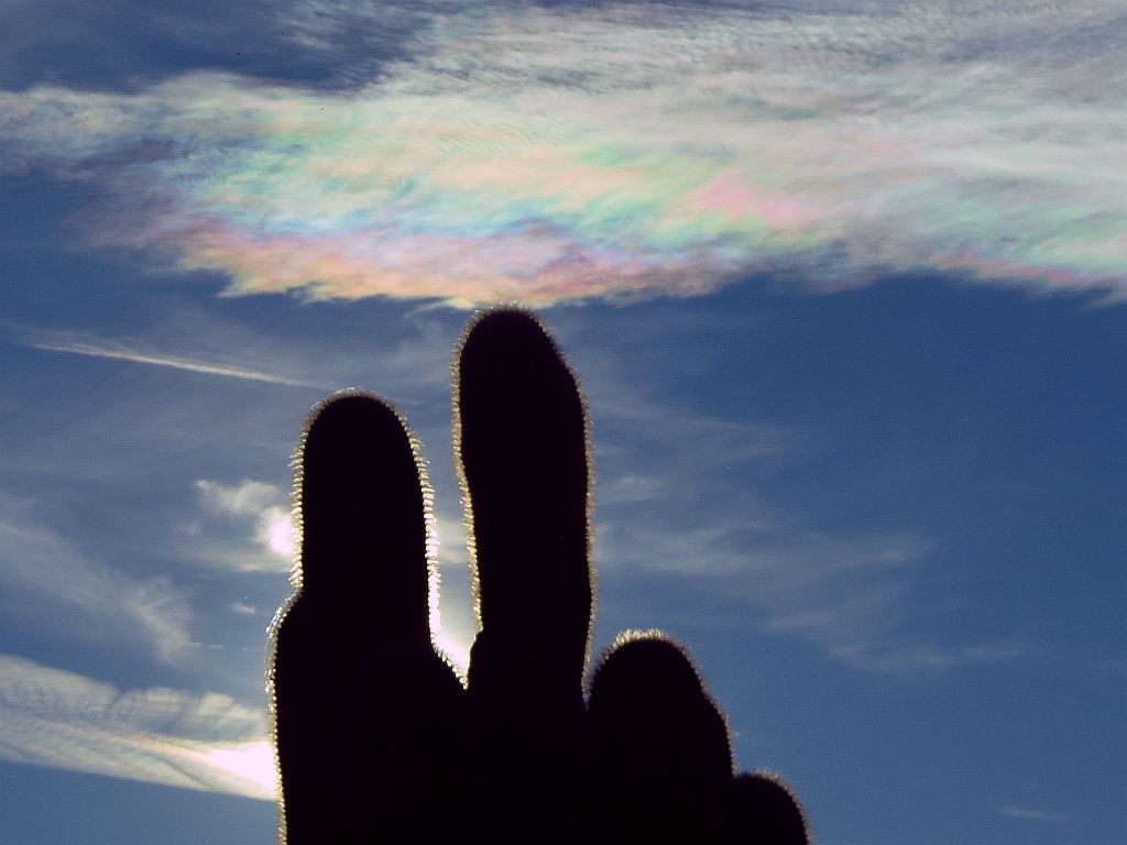 http://capnbob.us/blog/wp-content/uploads/2013/12/pastel-clouds-over-saguaro.jpg