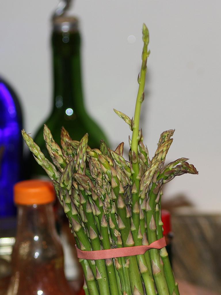 Asparagus Sprout