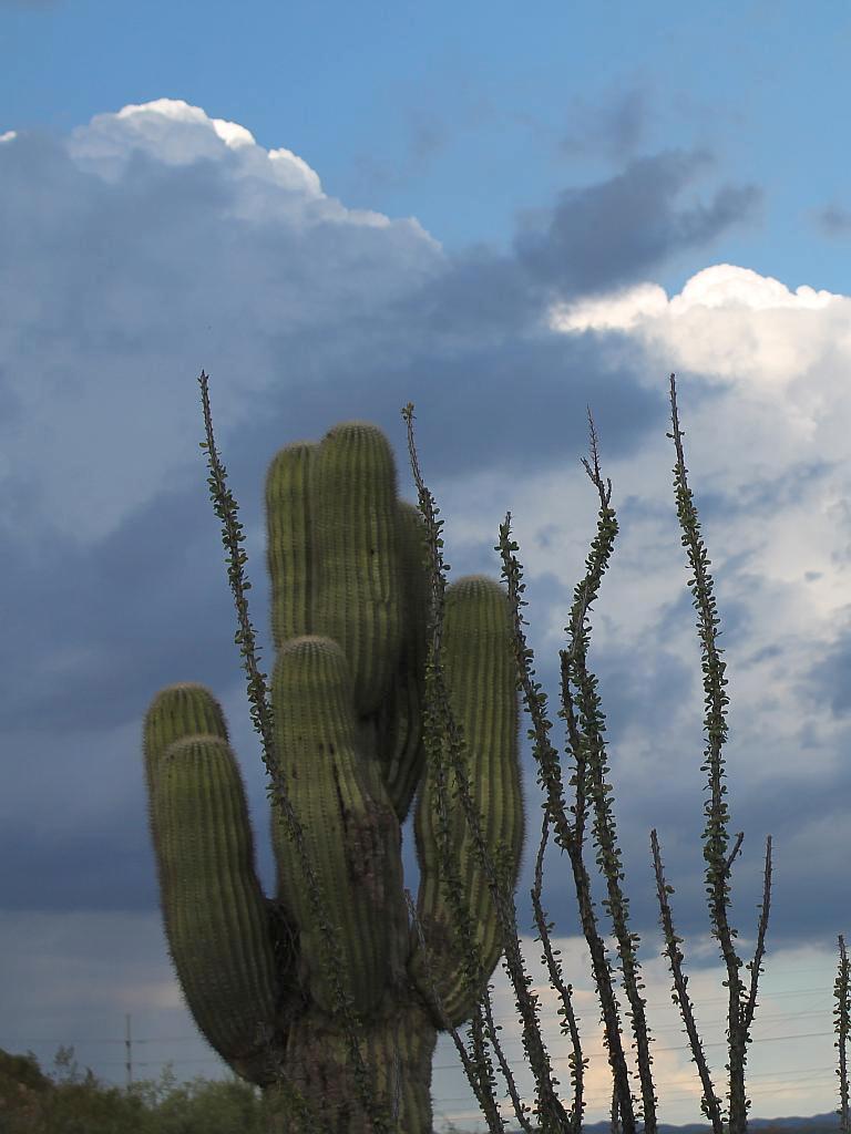http://capnbob.us/blog/wp-content/uploads/2015/07/monsoon-skies.jpg