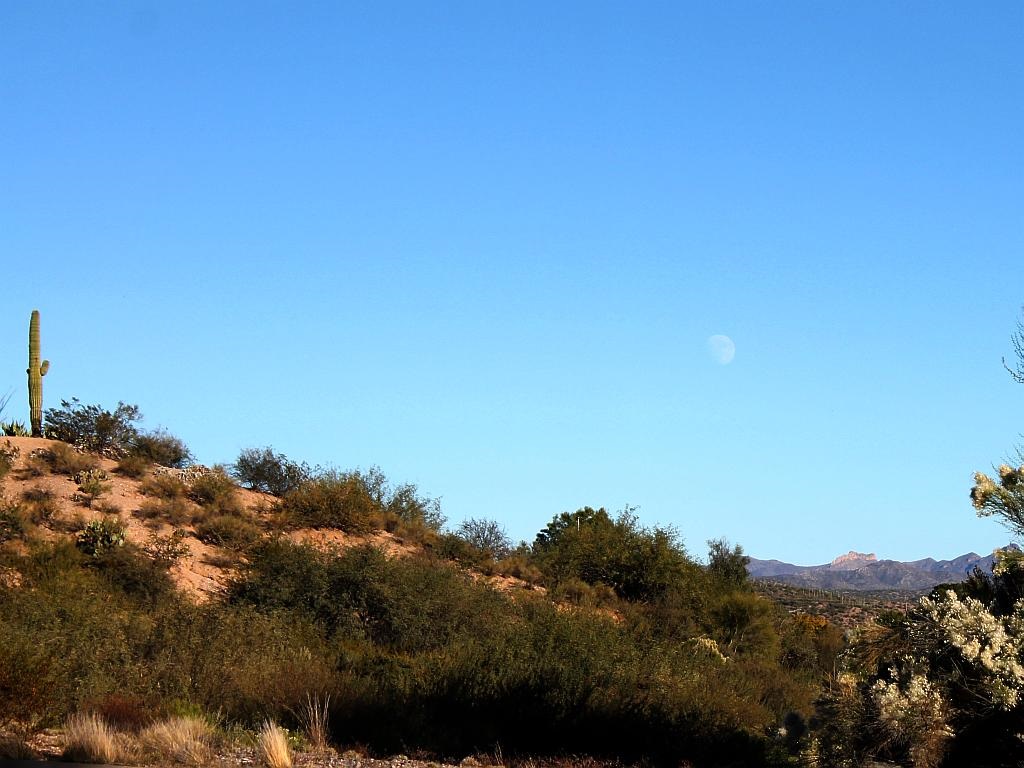 http://capnbob.us/blog/wp-content/uploads/2015/11/desert-moonrise.jpg