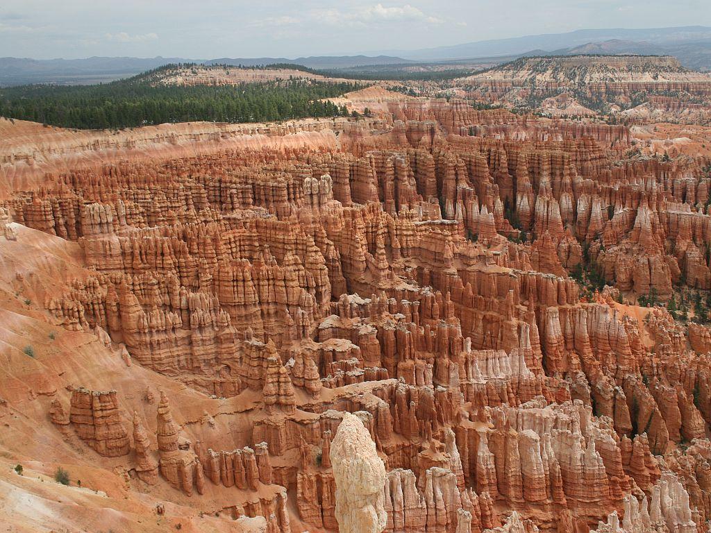 Hoodoos at Bryce Canyon