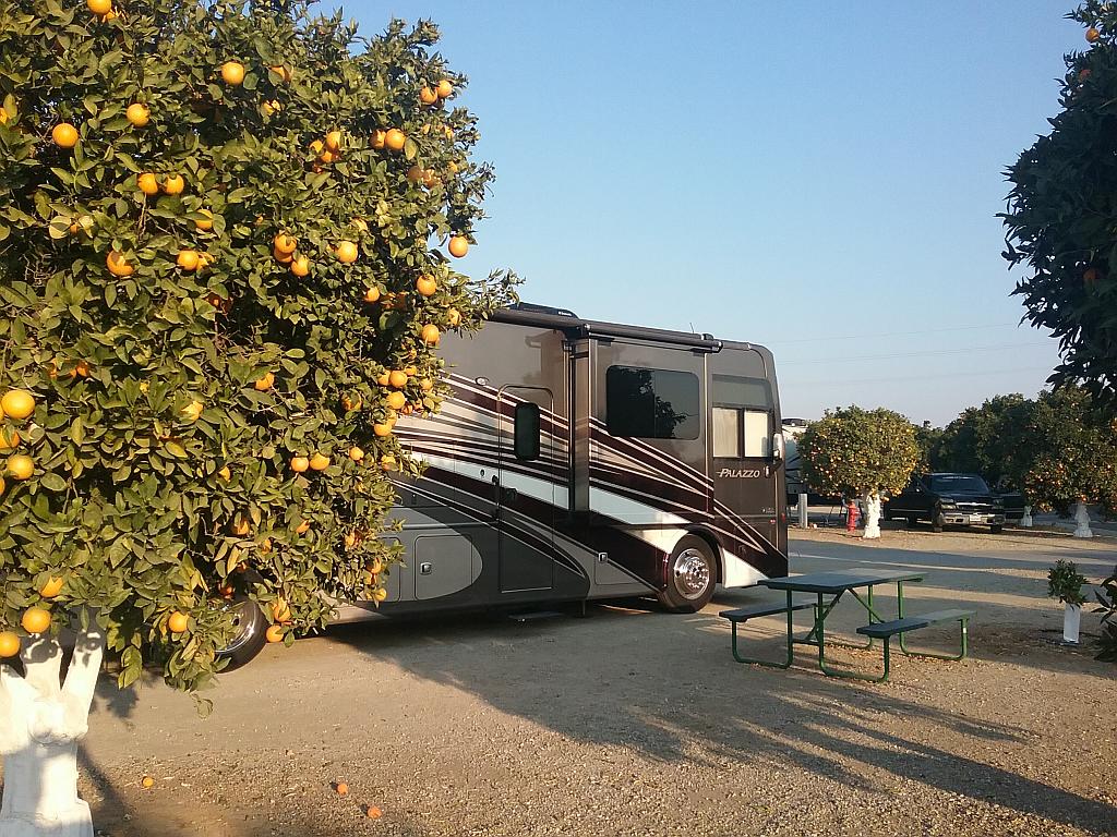 Orange Grove RV Park