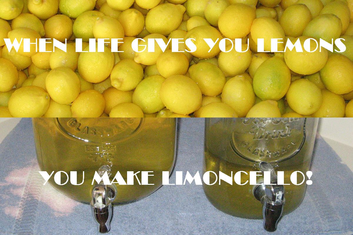 Make Limoncello