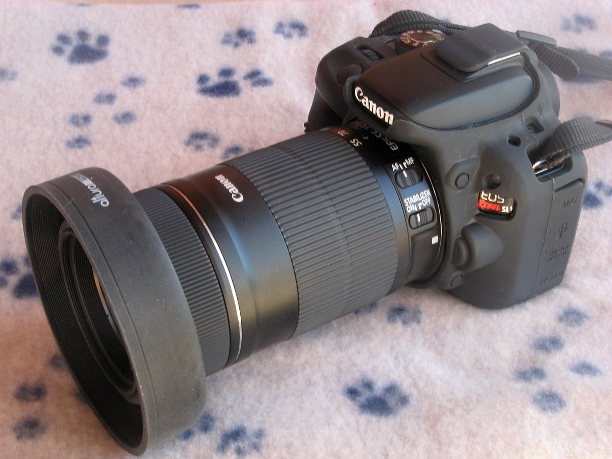 SL1 w/New 250mm Lens