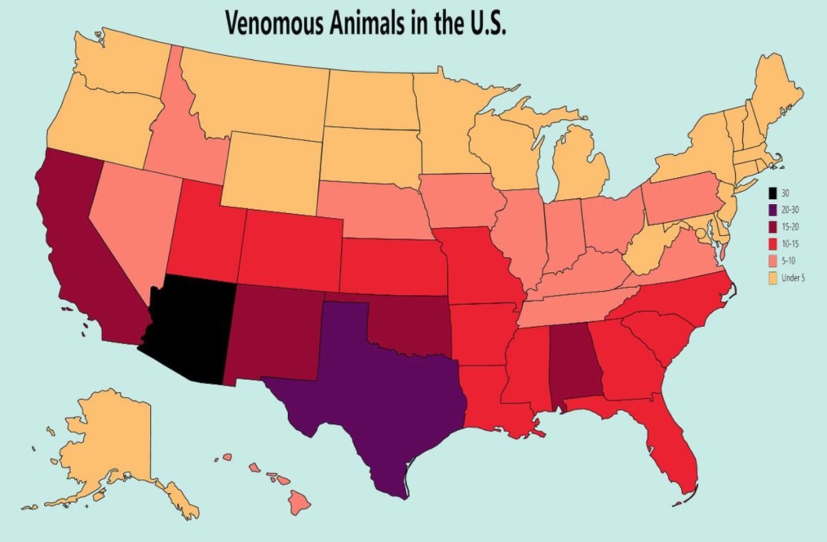 http://capnbob.us/blog/wp-content/uploads/2022/04/venomous-animals-by-state.jpg